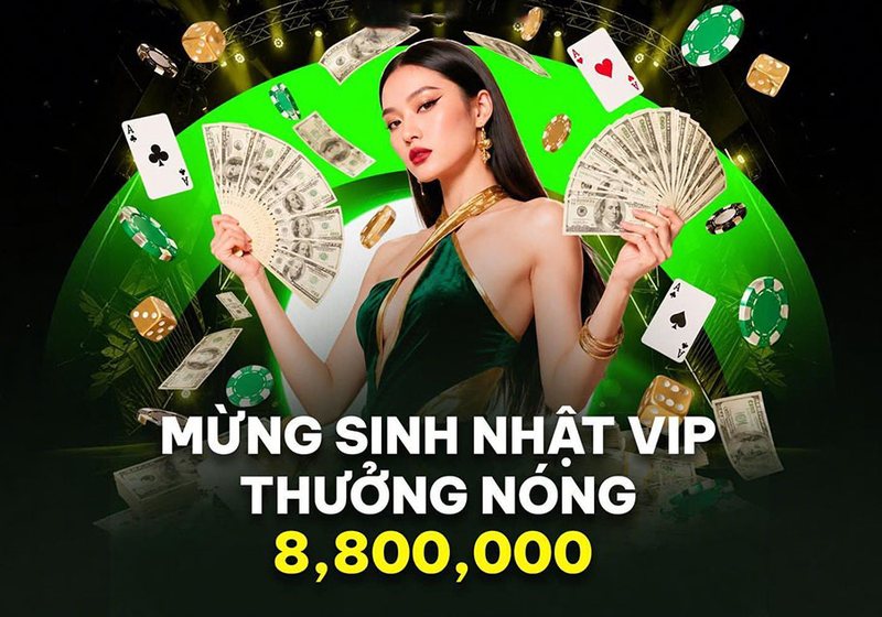Kiểm tra nguồn tải NO88 trên Android và lưu ý cho phiên tiếp theo
